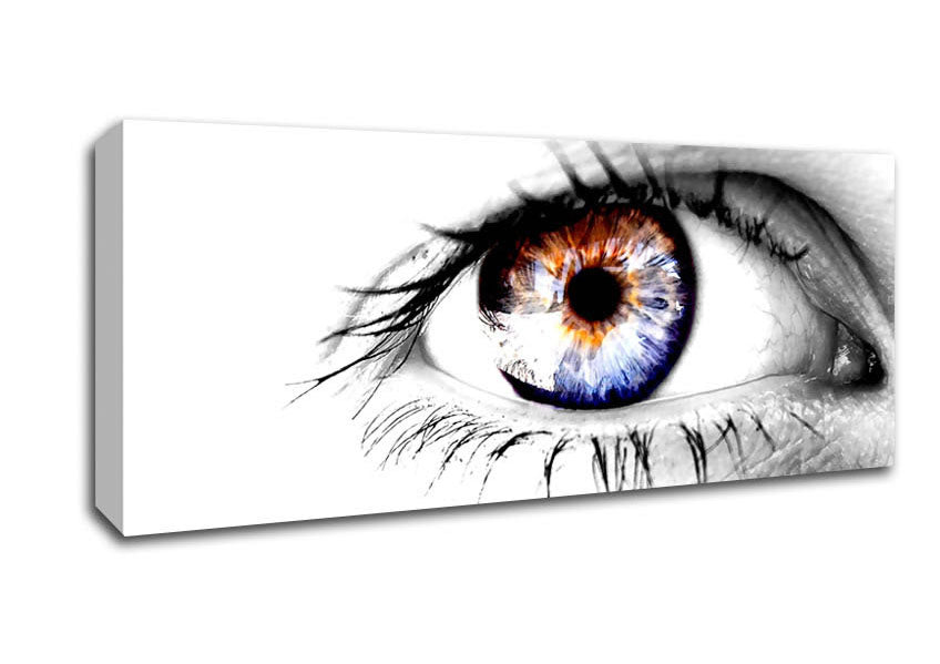 Picture of Strange Eye Panoramic Canvas Wall Art