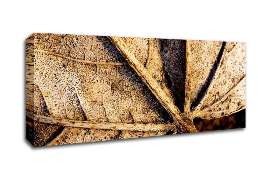 Picture of The Life Of A Leaf Chocolate Panoramic Canvas Wall Art
