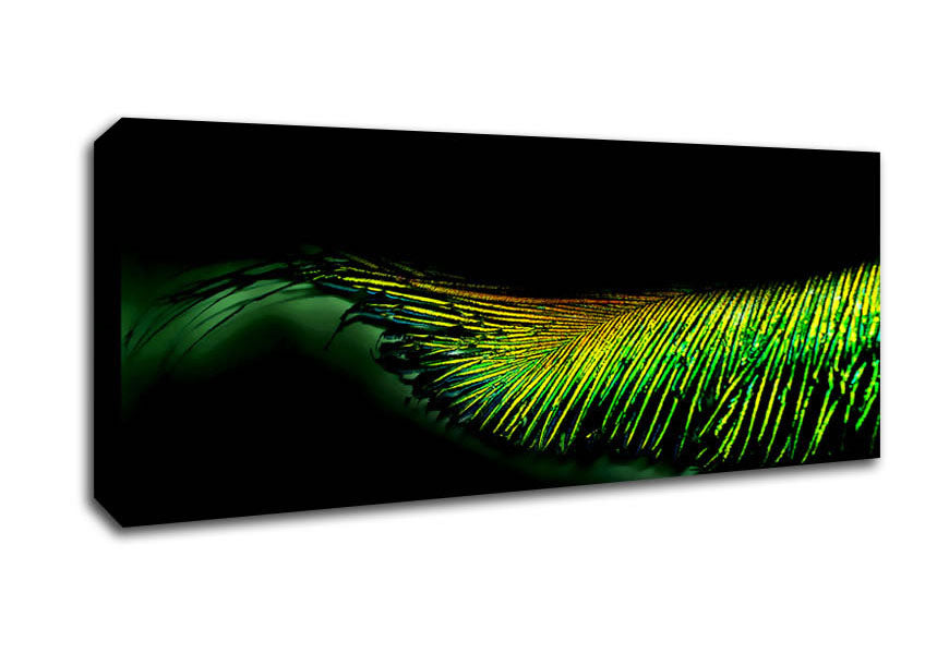 Picture of Vibrant Green Feather Panoramic Canvas Wall Art