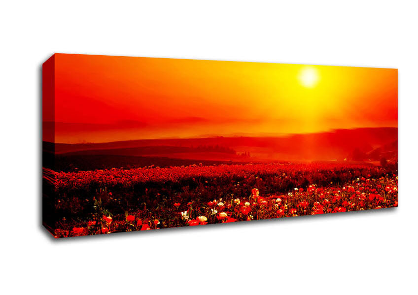 Picture of Poppy Field Mist Panoramic Canvas Wall Art