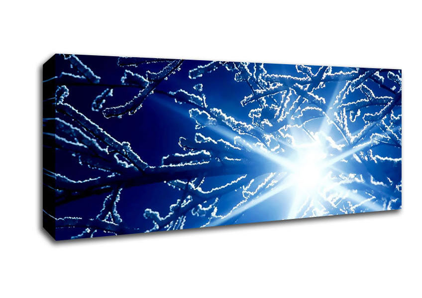 Picture of Winter Sun Rays Panoramic Canvas Wall Art