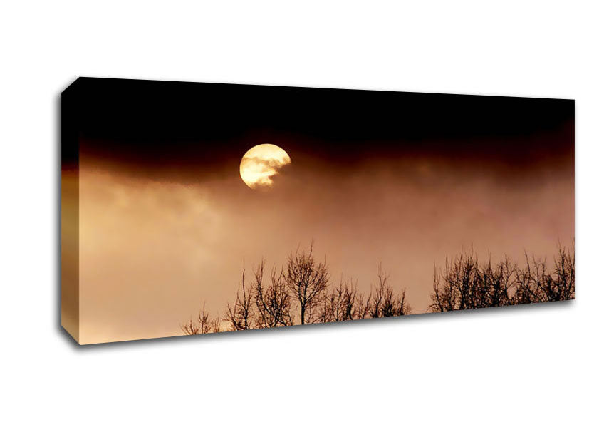 Picture of Storms By Moonlight Panoramic Canvas Wall Art