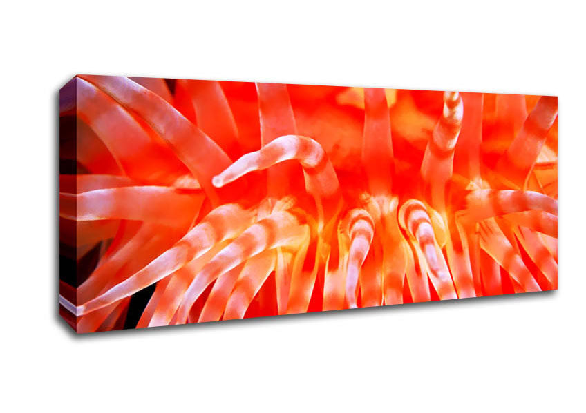 Picture of The Sea Of Life Panoramic Canvas Wall Art