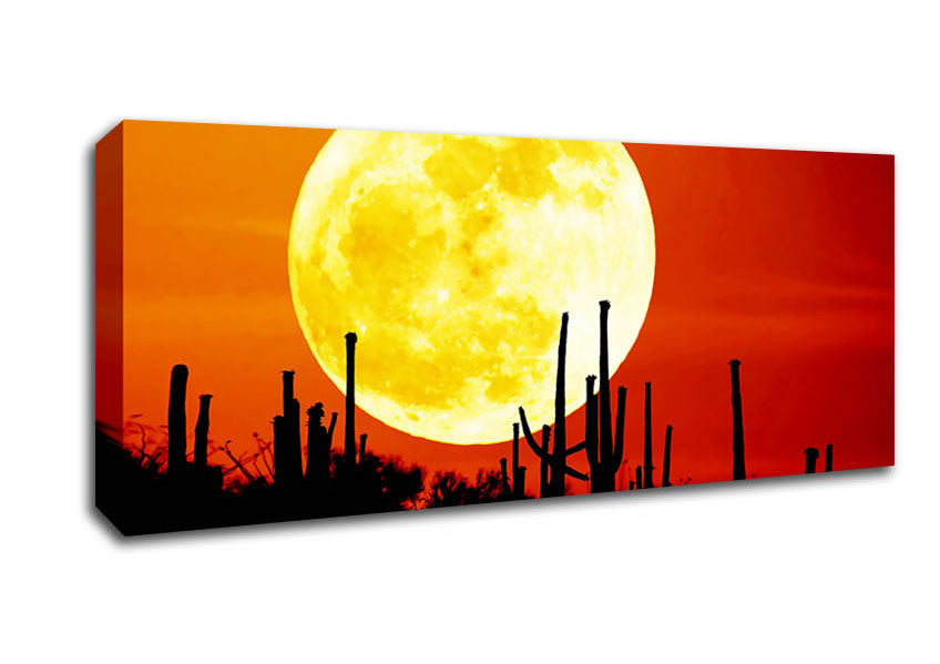 Picture of Red Moon Cactus Panoramic Canvas Wall Art
