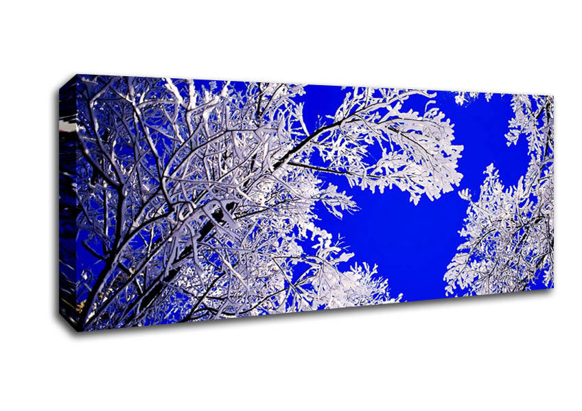 Picture of Winter Ice Tree In Sunlight Panoramic Canvas Wall Art