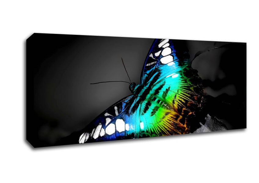 Picture of Psychedelic Butterfly 2 Panoramic Canvas Wall Art