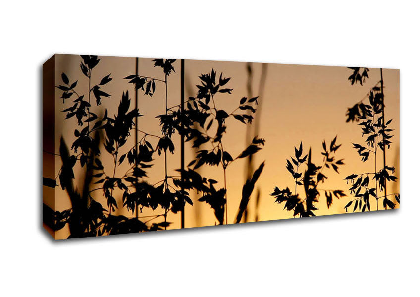 Picture of Sunlight Through The Reeds Panoramic Canvas Wall Art
