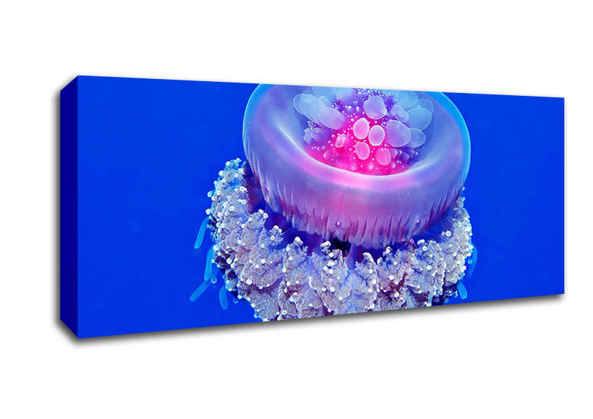 Picture of Neon Jellyfish Panoramic Canvas Wall Art