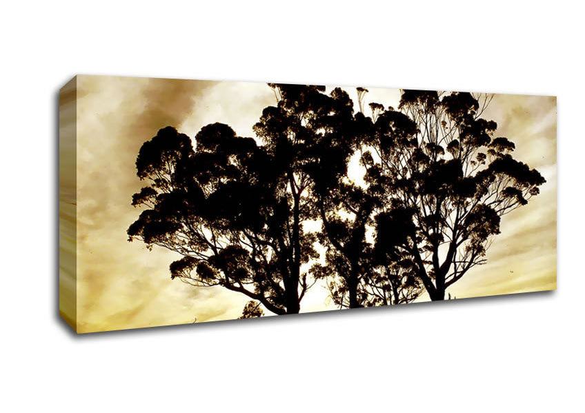 Picture of Chocolate Trees Panoramic Canvas Wall Art