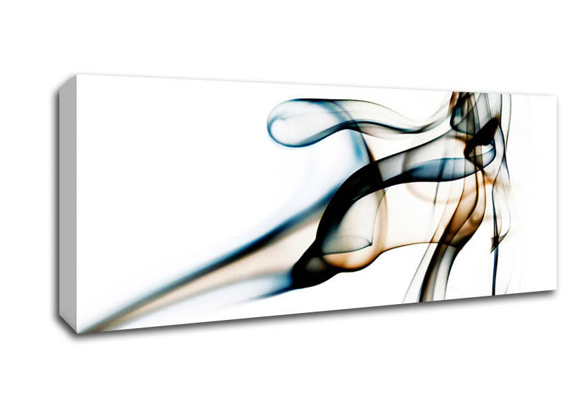 Picture of Smoke Ribbons Panoramic Canvas Wall Art