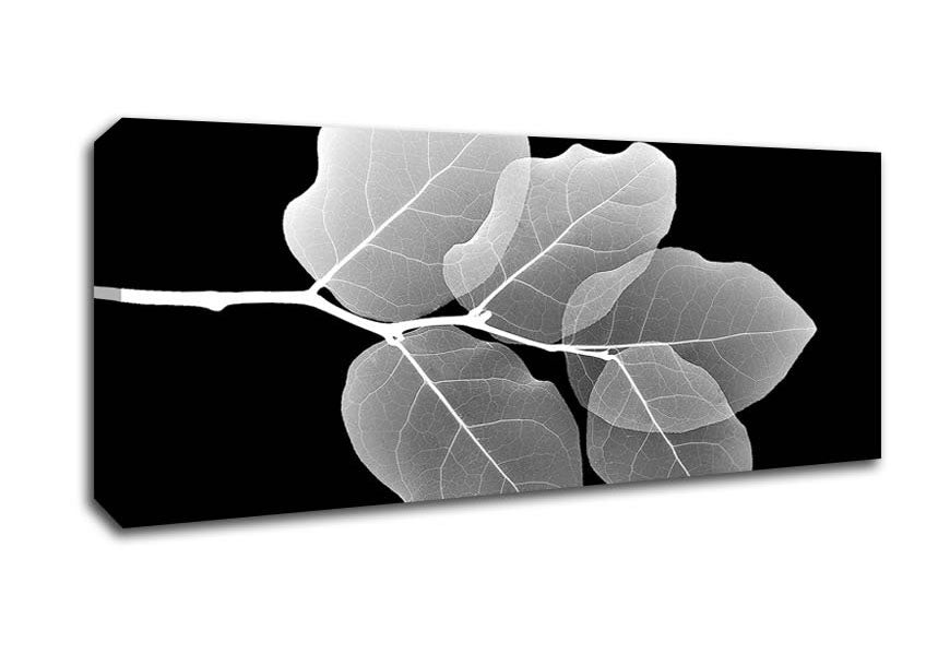 Picture of Winter Leaf Panoramic Canvas Wall Art
