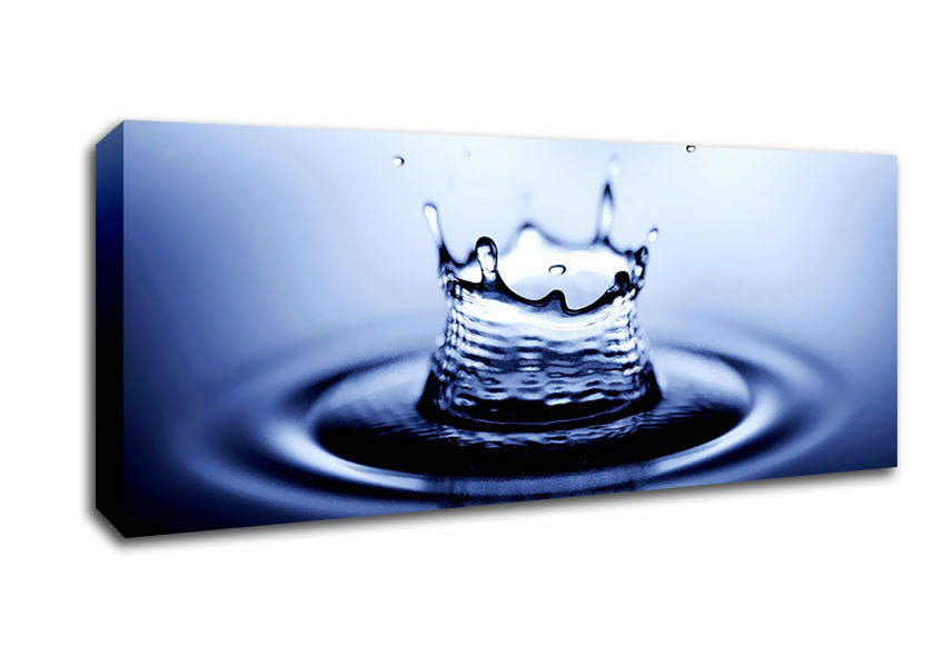 Picture of Water Drop Reflections Panoramic Canvas Wall Art