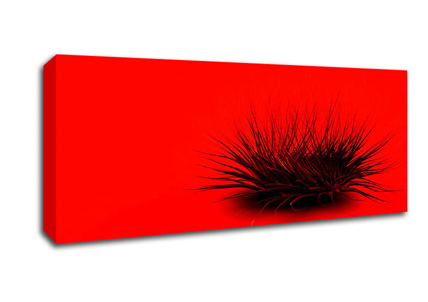Picture of The Little Red Thing Panoramic Canvas Wall Art