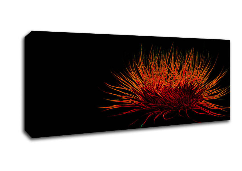 Picture of Red Thing Panoramic Canvas Wall Art
