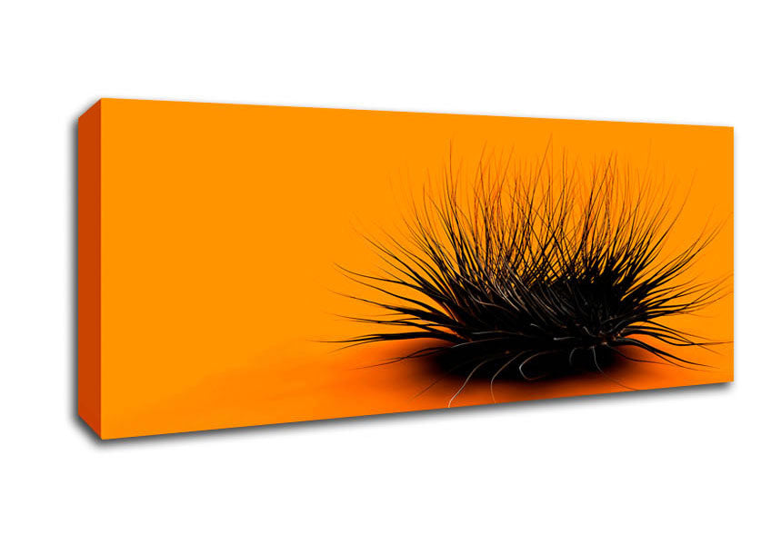 Picture of The Orange Thing Panoramic Canvas Wall Art