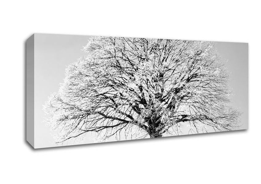 Picture of Winter Snow Tree B n W Panoramic Canvas Wall Art