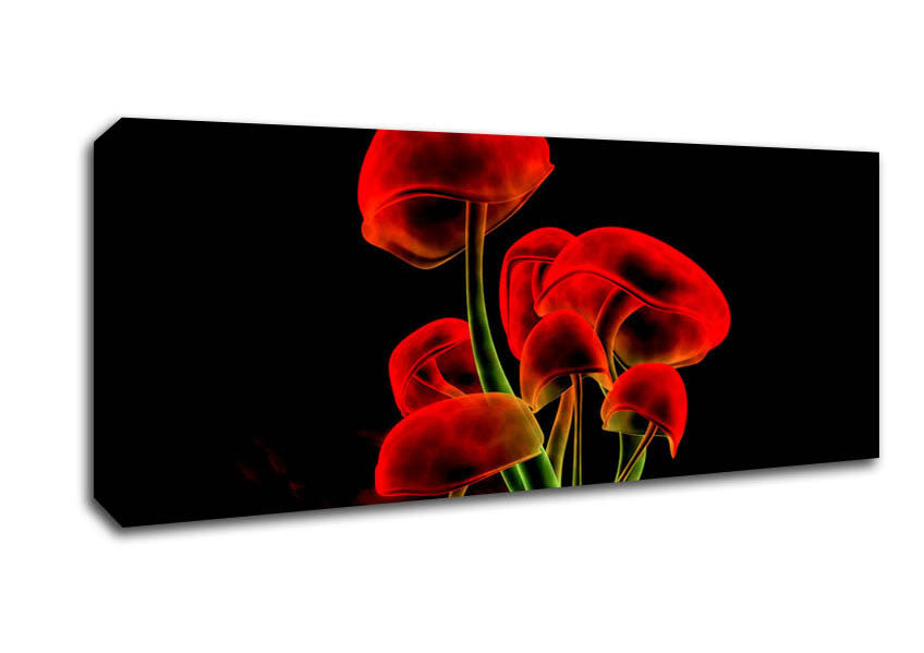 Picture of Red Magic Mushrooms Panoramic Canvas Wall Art