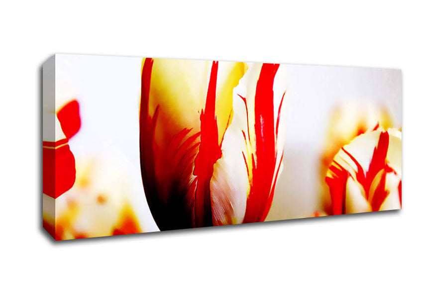 Picture of Tulip Heads Panoramic Canvas Wall Art