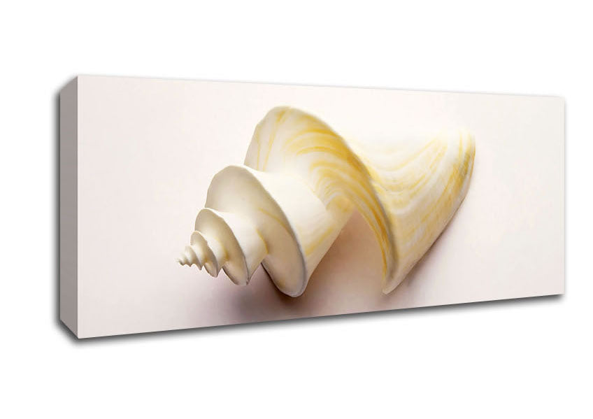 Picture of Stunning White Shell Panoramic Canvas Wall Art