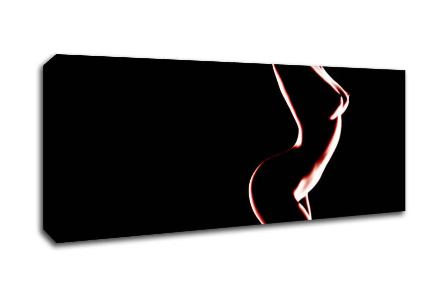 Picture of Red Body Panoramic Canvas Wall Art