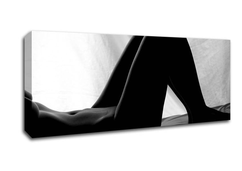 Picture of The Art Of A Womans Body Panoramic Canvas Wall Art