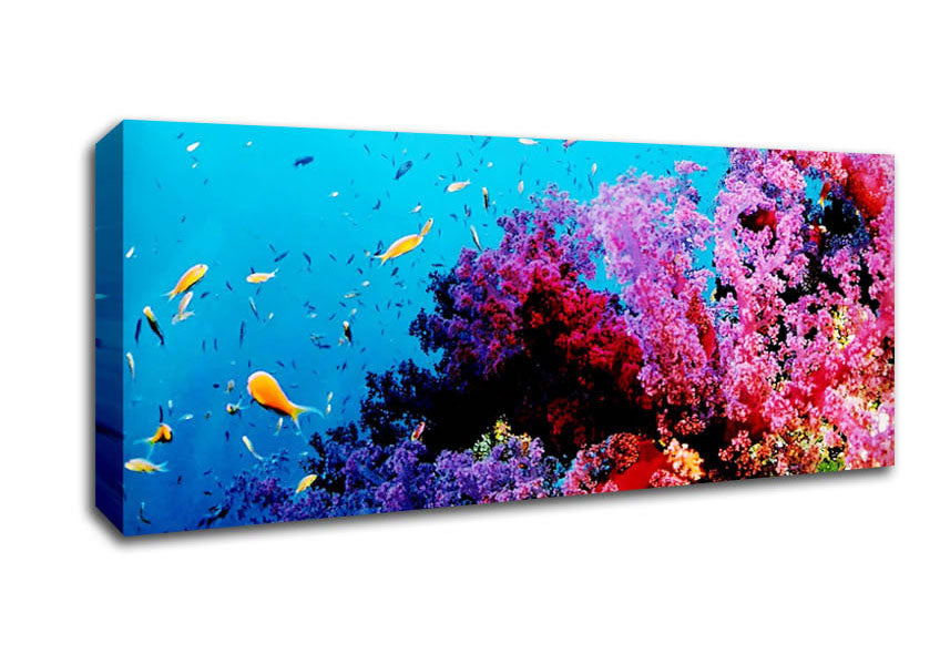 Picture of Magical Coral Ocean Panoramic Canvas Wall Art