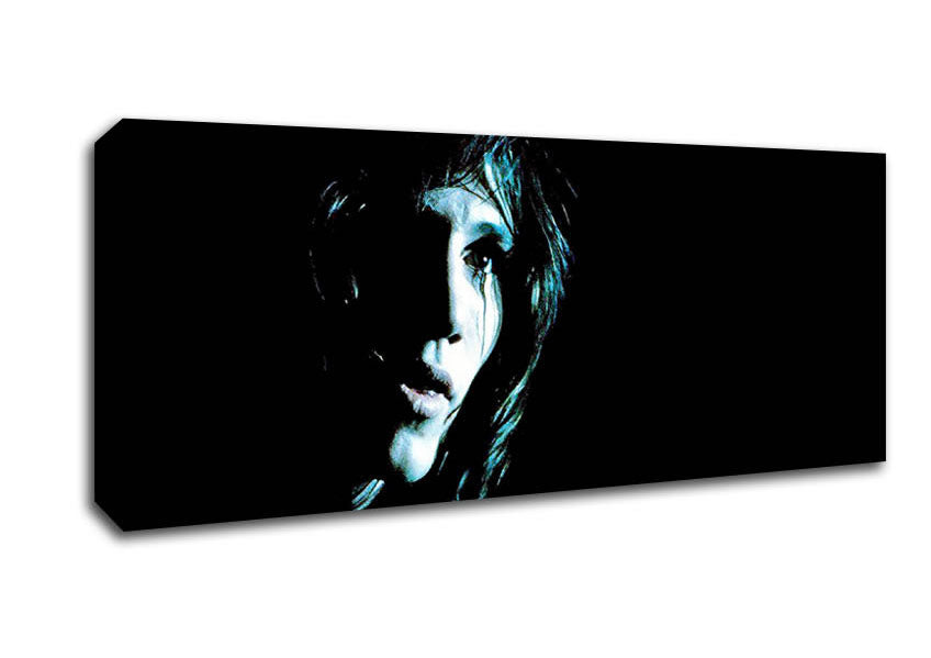 Picture of Roger Waters Pink Floyd Panoramic Canvas Wall Art