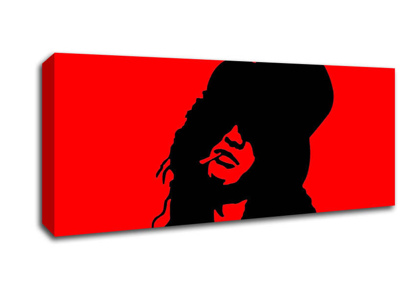 Picture of Slash Red Panoramic Canvas Wall Art