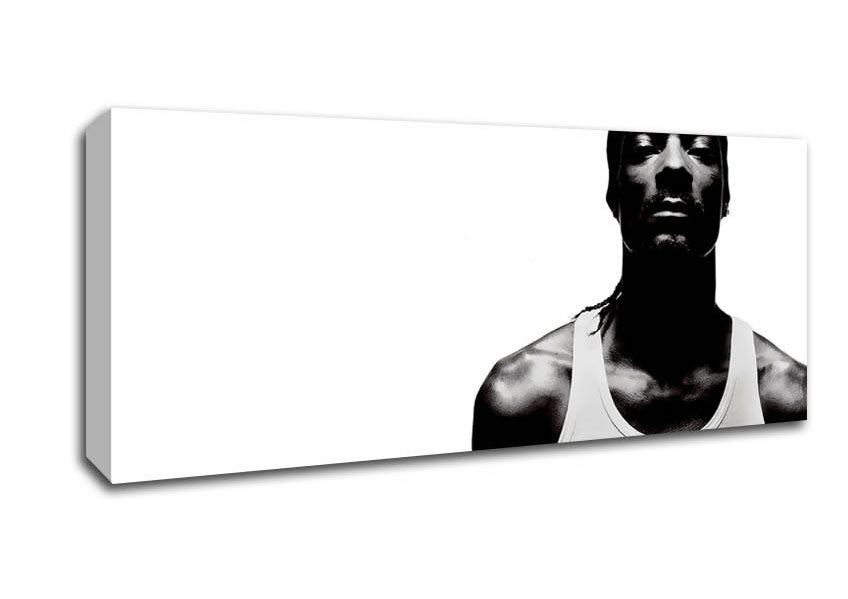 Picture of Snoop Dogg Music Panoramic Canvas Wall Art