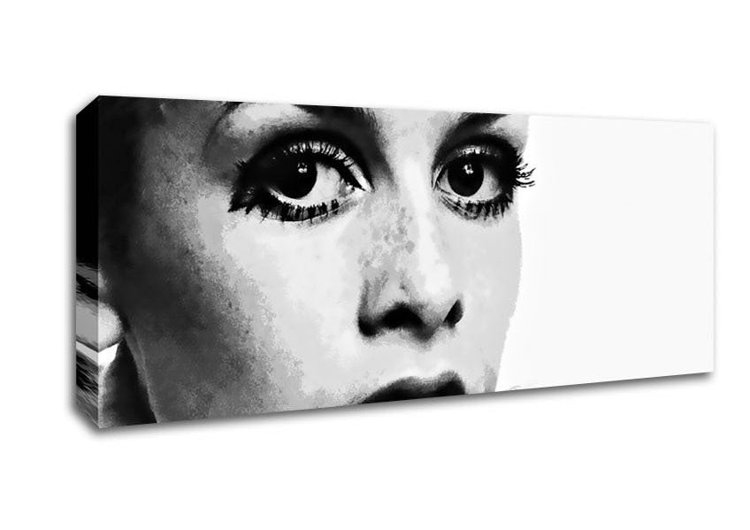 Picture of Twiggy First Top Model Panoramic Canvas Wall Art