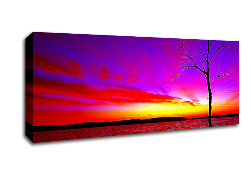 Picture of Sunset Tree Rainbow Skies Panoramic Canvas Wall Art