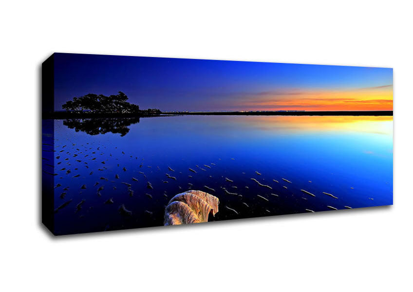 Picture of Shell On The Deep Blue Ocean Panoramic Canvas Wall Art