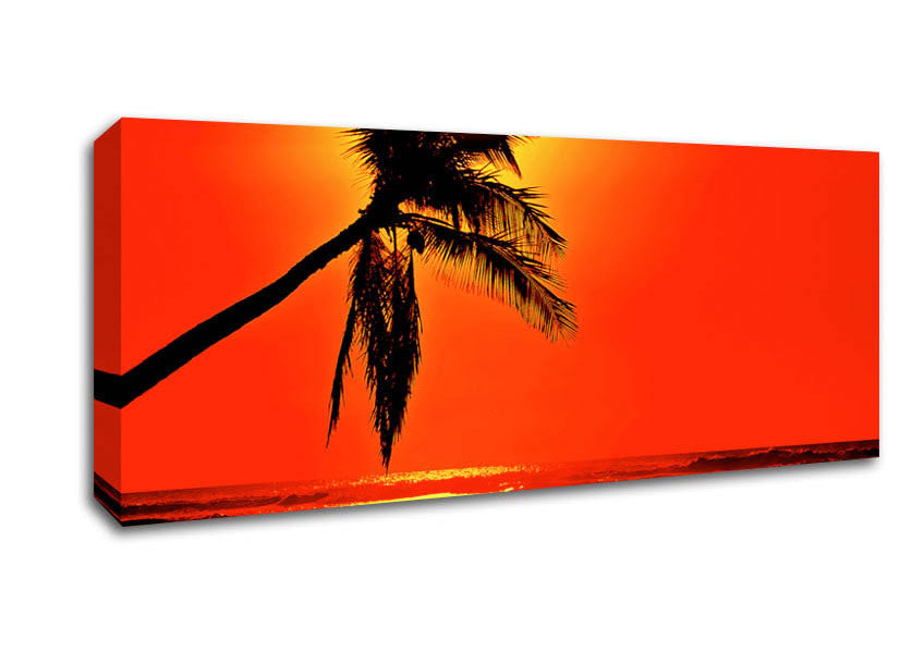 Picture of Palmtree Sunblaze Panoramic Canvas Wall Art