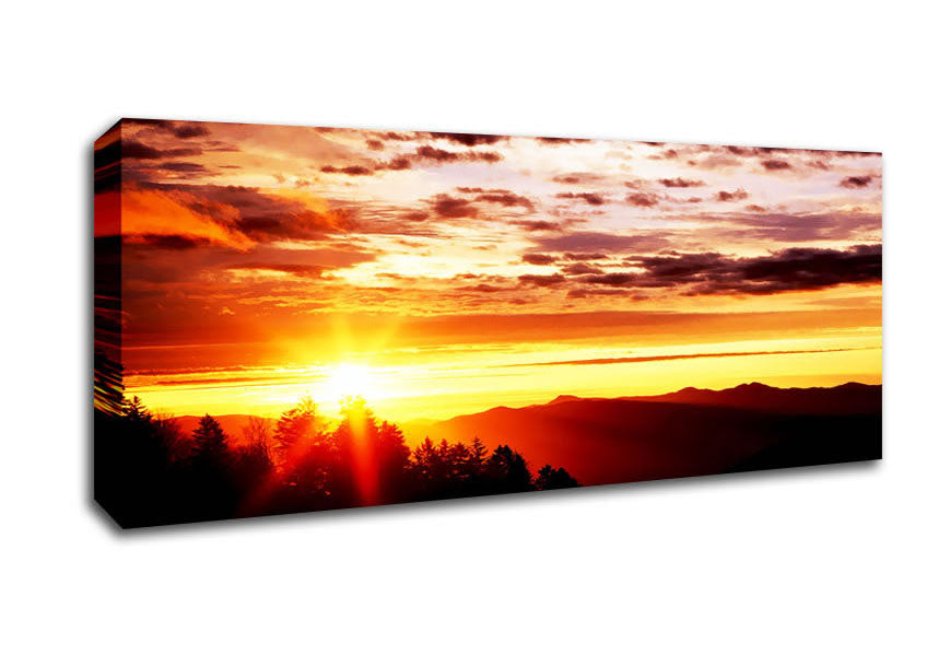 Picture of Sunrise Over Treeline Panoramic Canvas Wall Art