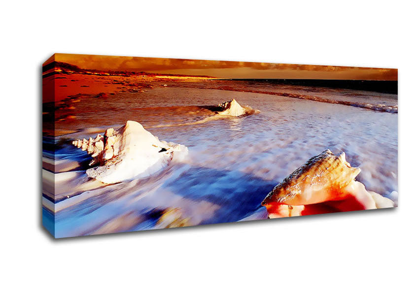 Picture of Shells From The Ocean Panoramic Canvas Wall Art