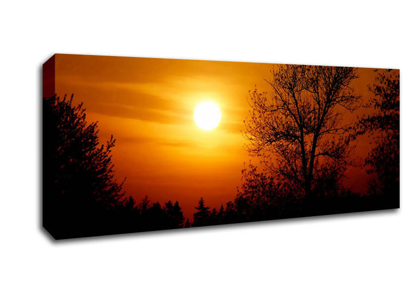 Picture of Orange Sunset Over Trees Panoramic Canvas Wall Art