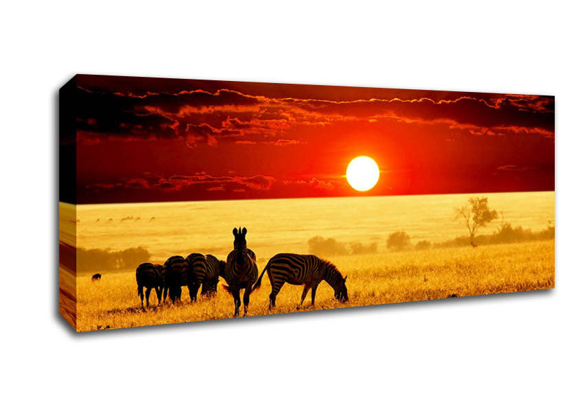 Picture of Zebras In The African Sun Panoramic Canvas Wall Art
