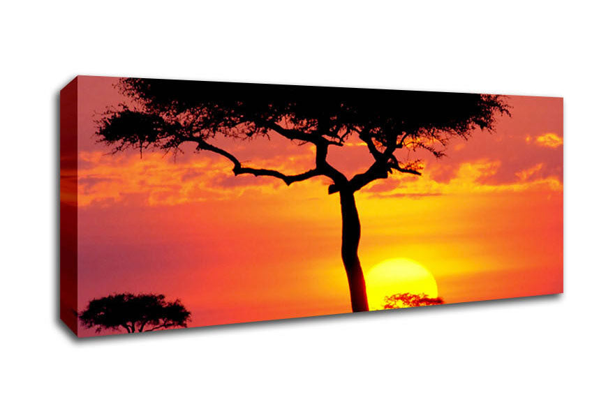 Picture of Sunset In Kenya Panoramic Canvas Wall Art