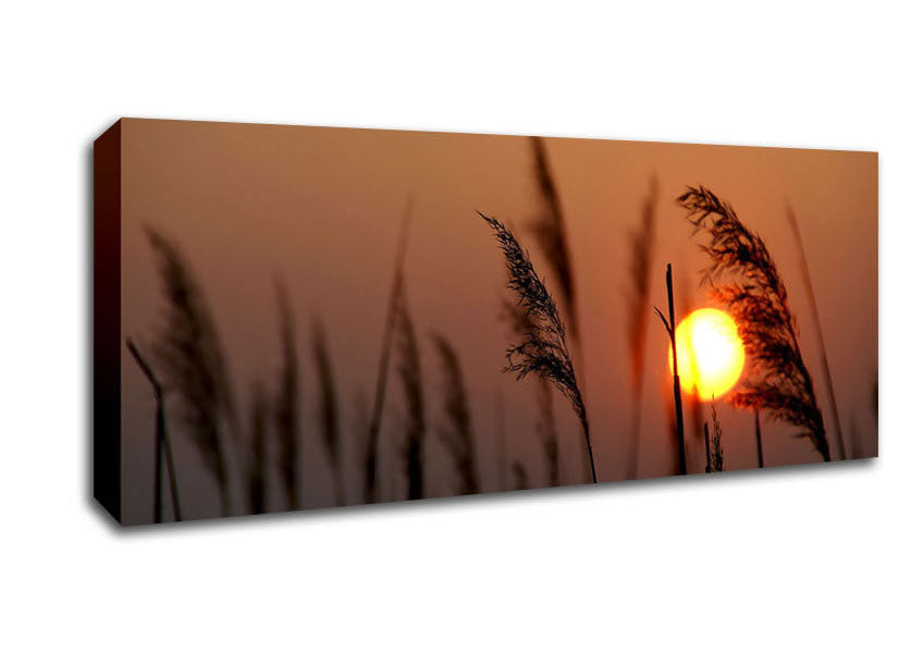 Picture of Reed Silhouette At Sunset Panoramic Canvas Wall Art