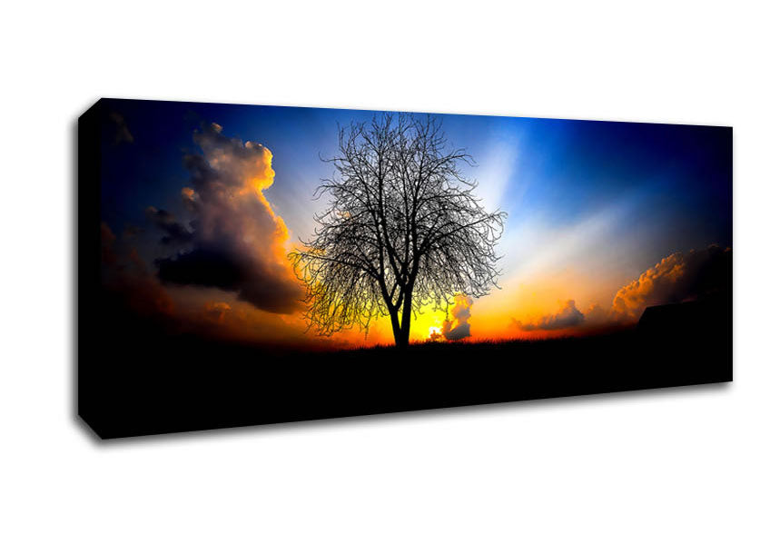 Picture of The Next Morning Panoramic Canvas Wall Art