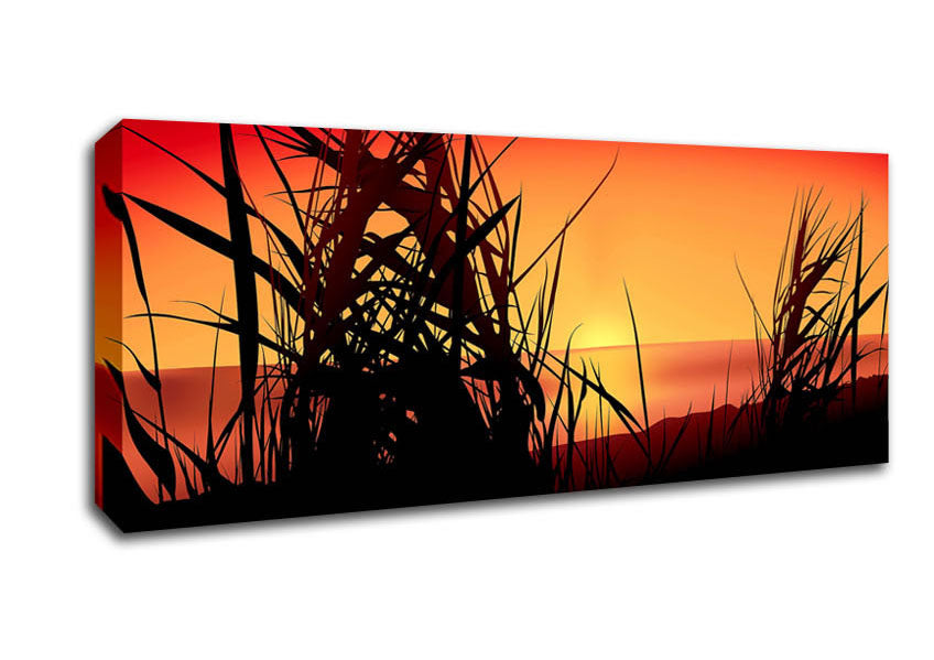 Picture of The Sunset Reeds Panoramic Canvas Wall Art