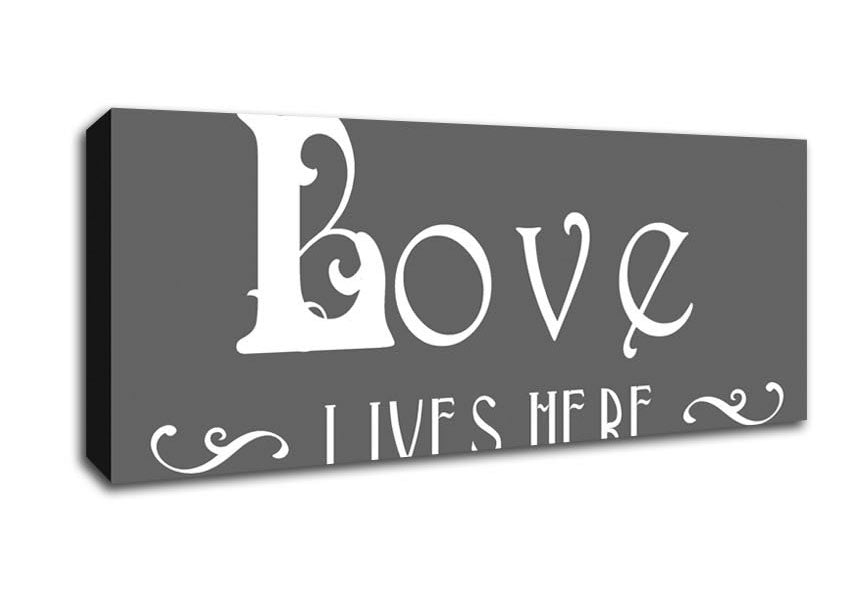 Picture of Love Quote Love Lives Here Vines Grey Panoramic Canvas Wall Art