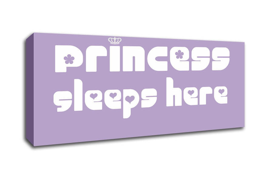 Picture of Princess sleeps 2 Lilac Panoramic Canvas Wall Art