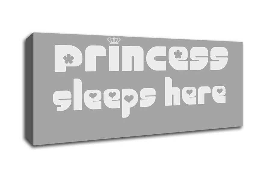Picture of Princess sleeps 2 Grey White Panoramic Canvas Wall Art