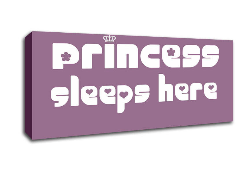 Picture of Princess sleeps 2 Dusty Pink Panoramic Canvas Wall Art