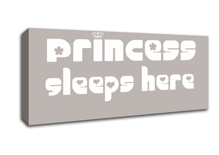 Picture of Princess sleeps 2 Beige Panoramic Canvas Wall Art