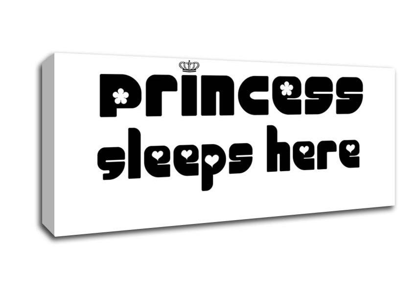 Picture of Princesss Sleeps Here 2 White Panoramic Canvas Wall Art