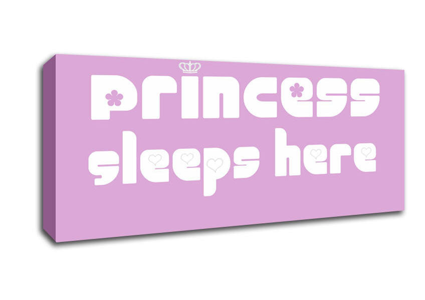 Picture of Princesss Sleeps Here 2 Pink Panoramic Canvas Wall Art