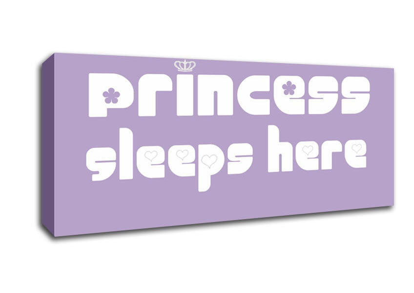 Picture of Princesss Sleeps Here 2 Lilac Panoramic Canvas Wall Art