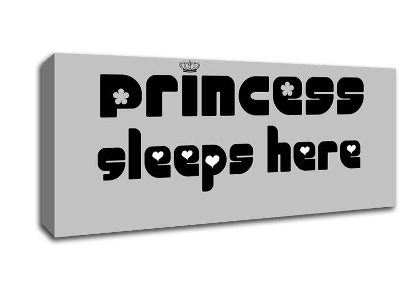Picture of Princesss Sleeps Here 2 Grey Panoramic Canvas Wall Art
